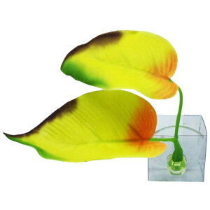  lH CAEg lHvc ANAEfR[V zՎ x^xbh xeꏊ B t [t pCeA IuWF pi