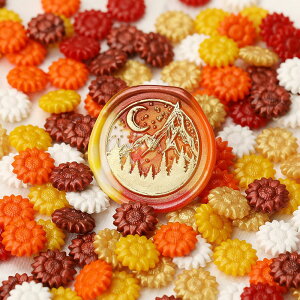  V[ObNX X V[OX^vpi 100Zbg   t[ Ђ܂ Jt  ҏ 莆