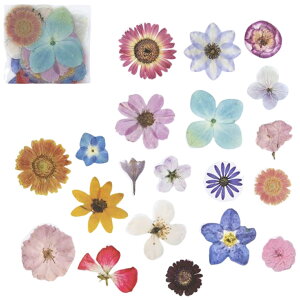  t[NV[ V[ PET NA  40 [ V[ XebJ[ R[W A [t t[   i` { fR[V 蒠 fR X}zP[XfR n