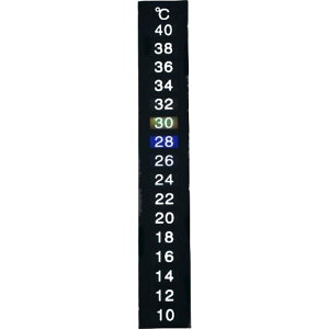  v  ANAE 1040 XebJ[  Ǘ  _J J ͒ ȒP