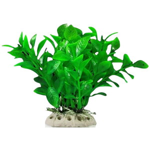  lH lHvc pCAEg yt  ANAEfR[V CeA ANZT[ IuWF I[ig pi CAEgpi ObY