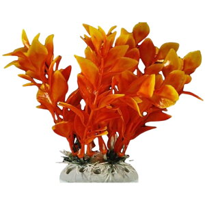  lH lHvc pCAEg yt  ANAEfR[V CeA ANZT[ IuWF I[ig pi CAEgpi ObY