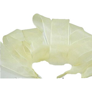  CЂ CR V[[X ڂ { fB[X V[ANZ I[KW[ L  ӂ 킢 Xj[J[ V[Y  JoLx