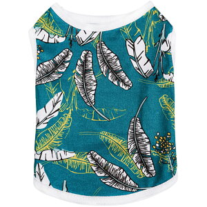  ybgEFA hbOEFA ^Ngbv vI[o[ m[X[u p  Ck lR L Lbg hbO  Lp ^ ^ ybg Ȃ  n[g jR[ 