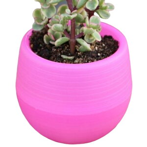 �������� �A�ؔ� �t�����[�|�b�g �󂯎M�t�� �~�j ���n �r�� �~�� �y�� ���� �V���v�� ���� ���O �ϗt�A�� �����A�� �K�[�f�j���O ���|�p�i �C���e���A�G�� ���F �� �� �� ���[�Y ��