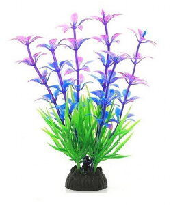  lH A lHvc ANAeBbNvc ANAEpi pANZT[ CAEgpi O[  Mы Ϗܗp    Of[V