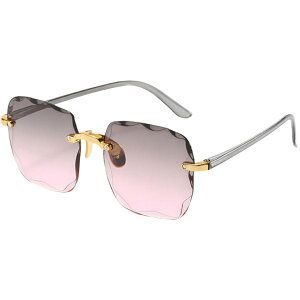  TOX fB[X  t@bV XNGA t[X Ȃ UV400 O΍ UVJbg n Of[V 