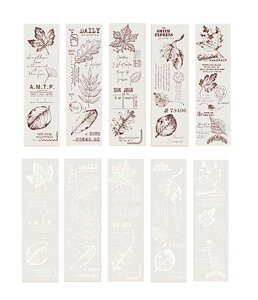  fUCy[p[ R[Wf y[p[Ntgp g 30 Zbg g[VOy[p[  fR[V 蒠 m[g L