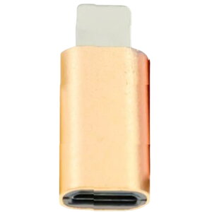 ϊA_v^ ϊRlN^ micro USB lightning iPhone X}zANZT[ Pi A_v^[ }CNUSB CgjO ϊ [q f[^] ʐM [d X}z y @ύX ^ R