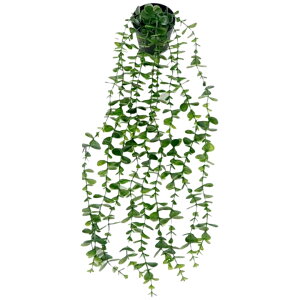  tFCNO[ lHϗtA    ݂艺 [t t   CeA Aؔ ͂Ȃ A  O rO  gC ʏ Q  