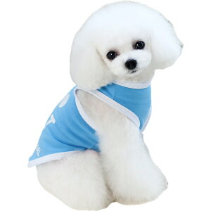  ybgEFA hbOEFA ^Ngbv m[X[u m  p Lp JWA Vv X}C sN u[  ^ ^ ybg ̕