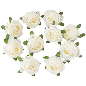   KN ΂ o 4Zbg tFCNt[ Ԃ̂ sȂ Ntg nhCh DIY |   ANZT[ RT[W  p[eB[ JoLx