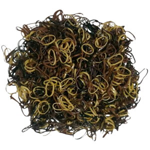  wAS S 1000{ xr[ Ԃ LbY q qǂ wAANZT[ ̖  Vv JoLx