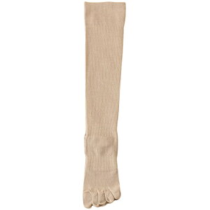  K\bNX nC\bNX 5{w \bNX fB[X C  O u p wlp n \bhJ[ X|[c ^ seBX g[jO EH[LO u