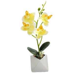   Ӓ R`E   A ~j|bg ~jA C~e[V tFCNt[  rO CeA IV Y ̓