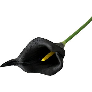   tFCNt[ lH lHt[  t[ ԑ  CeA t[AWg  ꂢ 킢