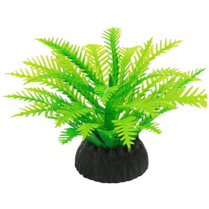  lH 3Zbg lHvc pCAEg yt  ANAEfR[V CeA ANZT[ IuWF I[ig pi CAEgpi 