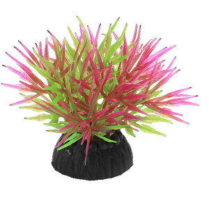  lH 3Zbg lHvc pCAEg yt  ANAEfR[V CeA ANZT[ IuWF I[ig pi CAEgpi 