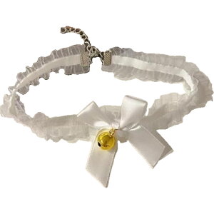  `[J[ fB[X p ANZT[   [X { t   RXv RX`[  Cxg nEB p[eB[