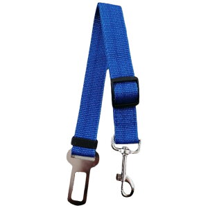  ybgpV[gxg ybgpi ybgObY p Lp Ck lR hCupi ԗpxg ԓ n ubN  Vv TCY߉\ ł яo΍ AEgh