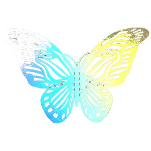  3DEH[XebJ[ EH[XebJ[ 12Zbg ʃe[vt e[vt  3D  X ǎV[ o^tC 傤 傤傤 ~[ I[ LL  