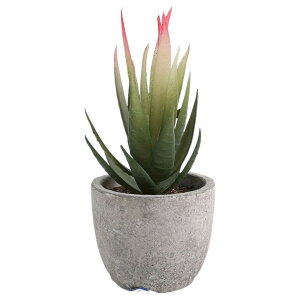  tFCNO[ lHϗtA A A ~j ^   sv C~e[V CeA p 