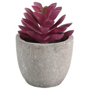  tFCNO[ lHϗtA A A ~j ^   sv C~e[V CeA p 