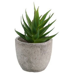  tFCNO[ lHϗtA A A ~j ^   sv C~e[V CeA p 