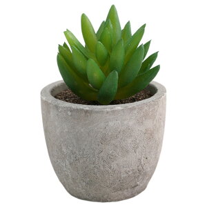  tFCNO[ lHϗtA A A ~j ^   sv C~e[V CeA p 