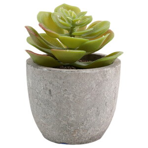  tFCNO[ lHϗtA A A ~j ^   sv C~e[V CeA p 