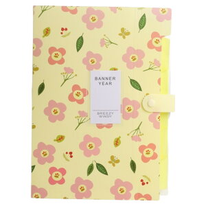  t@CP[X hLgt@C 6|Pbg 8|Pbg A4 AR[fBI ֕  t@Cz_[ ΂玮  ^ e wZ pi  