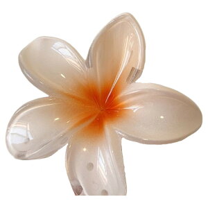  wANbv oXNbv fB[X  wAANZT[ t[  nCA 썑   wAAW  킢 ][g r[` t_X w