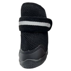  ybVhbOV[Yz C EȂ ₷ pC ̌C  U ˃xgt S pu[c ی ی AXt@g ₯ ~ ybgpi  