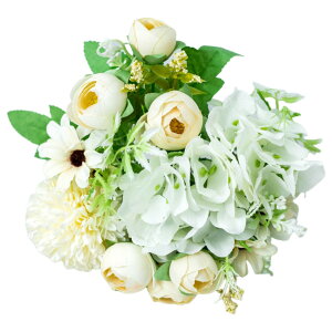    t[ KN o O Q ڂ  킢 ԑ u[P JoLx  rO t[AWg CeA