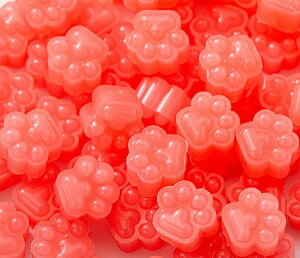  V[ObNX X V[OX^vpi 600gZbg    L  ˂  ҏ 莆 