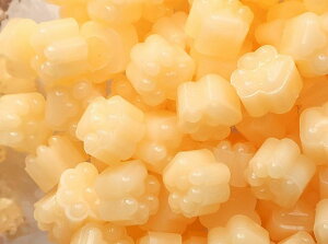  V[ObNX X V[OX^vpi 600gZbg    L  ˂  ҏ 莆 