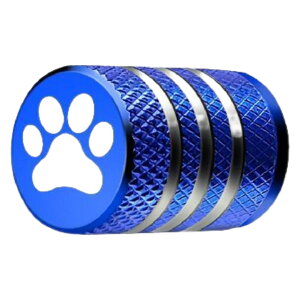  ^CouLbv Pi GA[ou Lbv Jo[  J[ObY J[pi ] ouJo[ ^C  킢 Vv