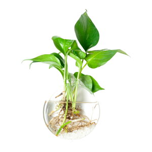  Ǌ|ԕr ԕr KX ݂艺 Ǌ| Aؔ ~` Ԍ` Op` t[x[X ֑} k͔| I  CeA 