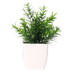  lHϗtA tFCNO[  Aؔ  ͂Ȃ A |bgt A u u  Mtg v[g 蕨 CeA