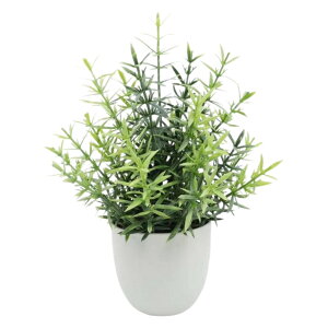  lHϗtA tFCNO[  Aؔ  ͂Ȃ A |bgt A u u  Mtg v[g 蕨 CeA