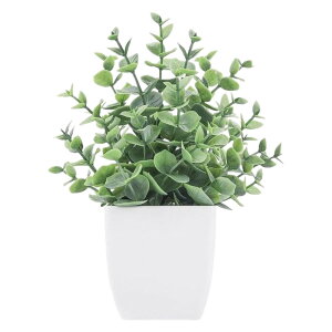  lHϗtA tFCNO[  Aؔ  ͂Ȃ A |bgt A u u  Mtg v[g 蕨 CeA