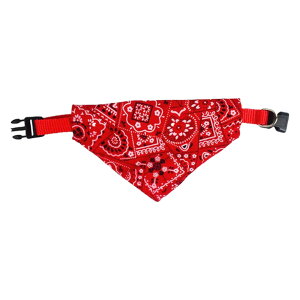  ybgpo_i  p ^ ^ ^ Ck  ybgpi obN ߉\ 