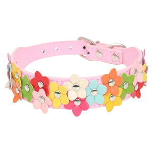   p ybgp Pi J[ `[J[ xg U[ TCY߉\ ^ ^  t[ Jt L[g |bv  JWA 킢 o 