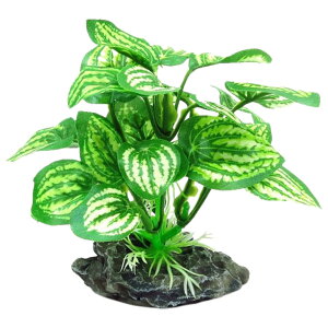  lHvc lH ANAEpi   Ϗ܋ Mы ঒ B tFCNO[ ybgpi ϗtA