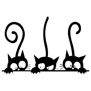  EH[XebJ[ ǎV[ Ǐ L lR  킢  rO     CeA XebJ[ V[ 