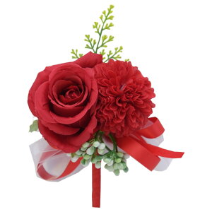  u[gjA uC_   tFCNt[ Nbv s |Pbg RT[W 킢 ꂢ  tH[} EFfBO j  ɂ