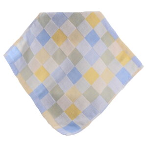  nh^I K[[nJ` xr[ Ԃ q LbY nJ` K[[^I ^I xr[^I K[[ 25cm ` C pi ubN`FbN 킢