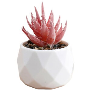  tFCNO[  CeAG u   A ^  p O[ sN CG[  L[g  i` {^jJ