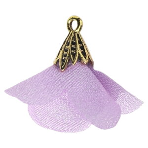  Ntgp`[ Pi fB[X  ANZT[p[c ANZT[  t[  Vv CO sAX  | nhCh JoLx