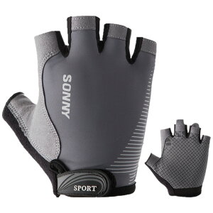  g[jOO[u TCNO[u Y fB[X  wȂ n[ttBK[ ~ߕt EFCgteBO _x W x`vX X|[c ] AE